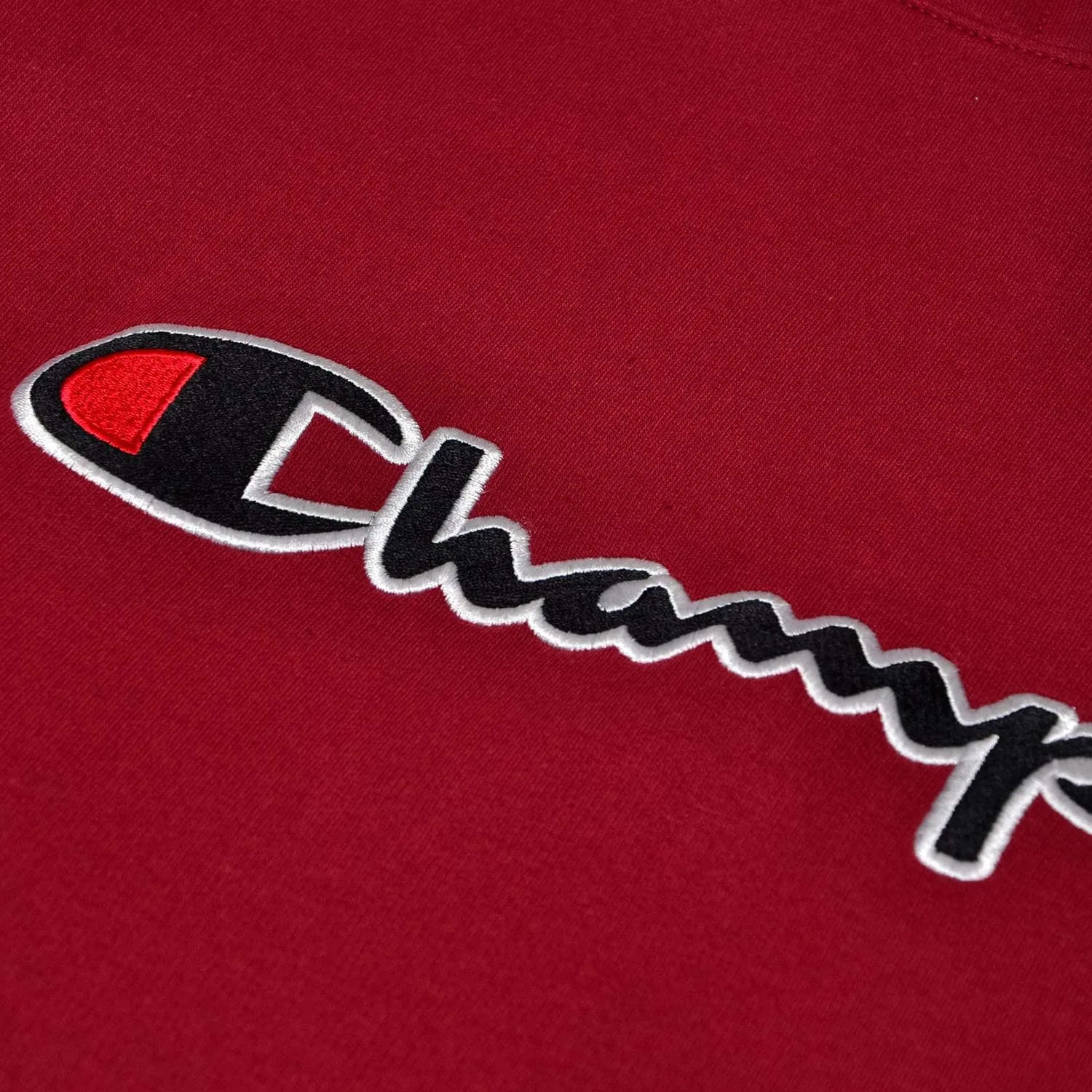 Champion Mens Hoodies Big and Tall - Embroidered Pullover Fleece Sweatshirt