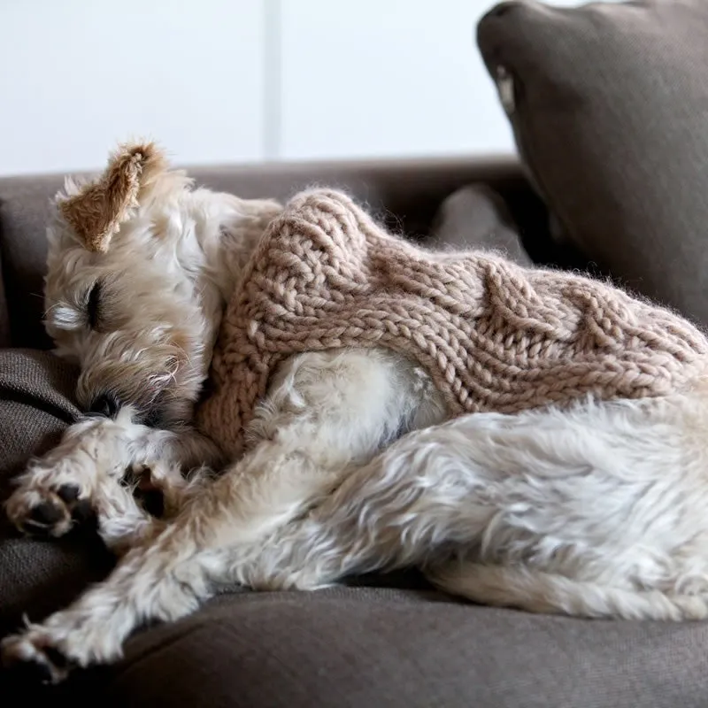 Oscar Dog Coat Knitting Pattern