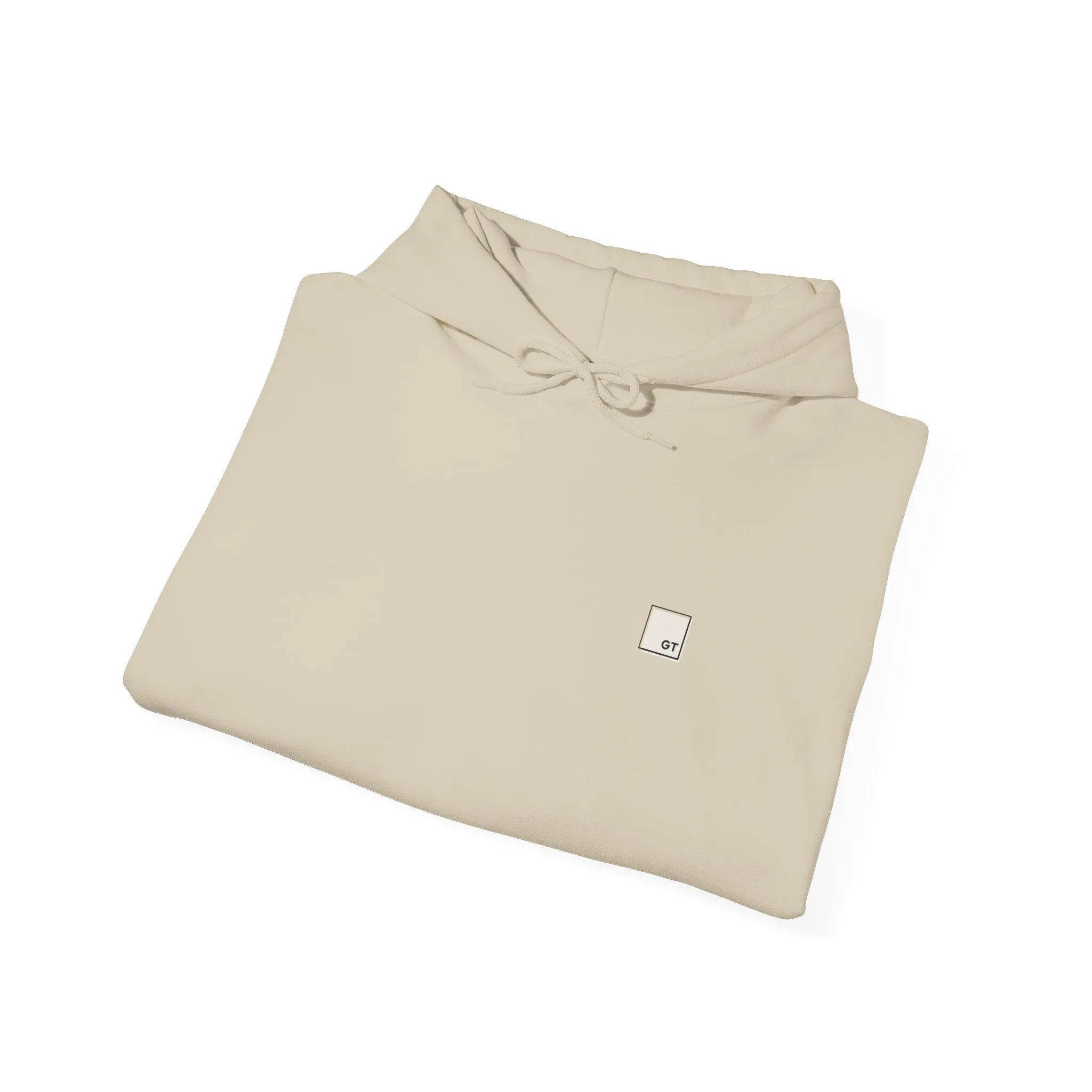"Ducati" Heavy Blend Hooded Sweatshirt
